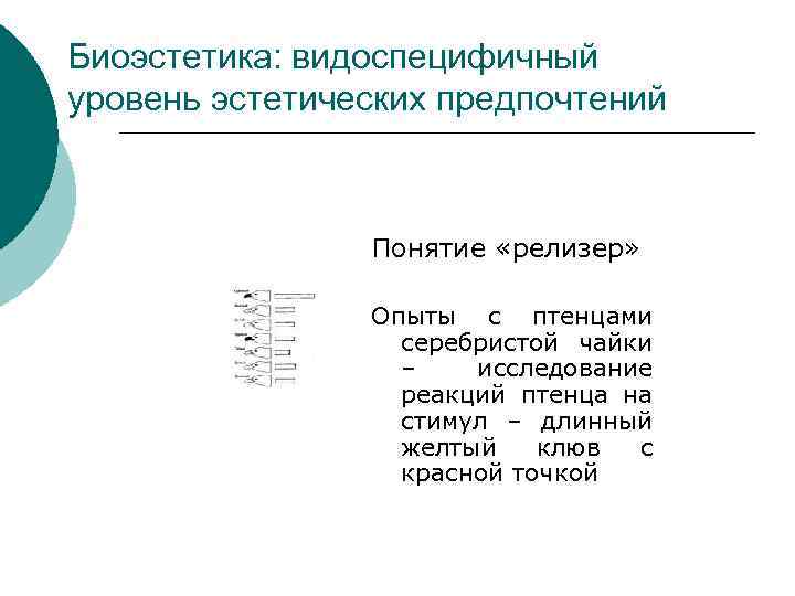 Биоэстетика: видоспецифичный уровень эстетических предпочтений Понятие «релизер» Опыты с птенцами серебристой чайки – исследование