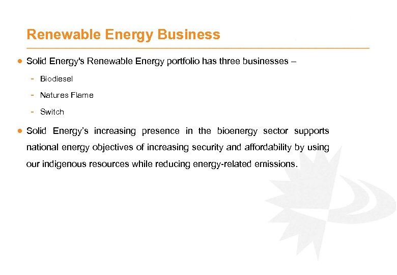 Renewable Energy Business · Solid Energy's Renewable Energy portfolio has three businesses – -