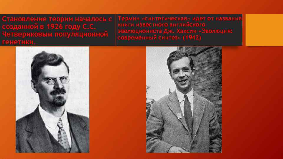 Становление теории началось с созданной в 1926 году С. С. Четвериковым популяционной генетики. Термин