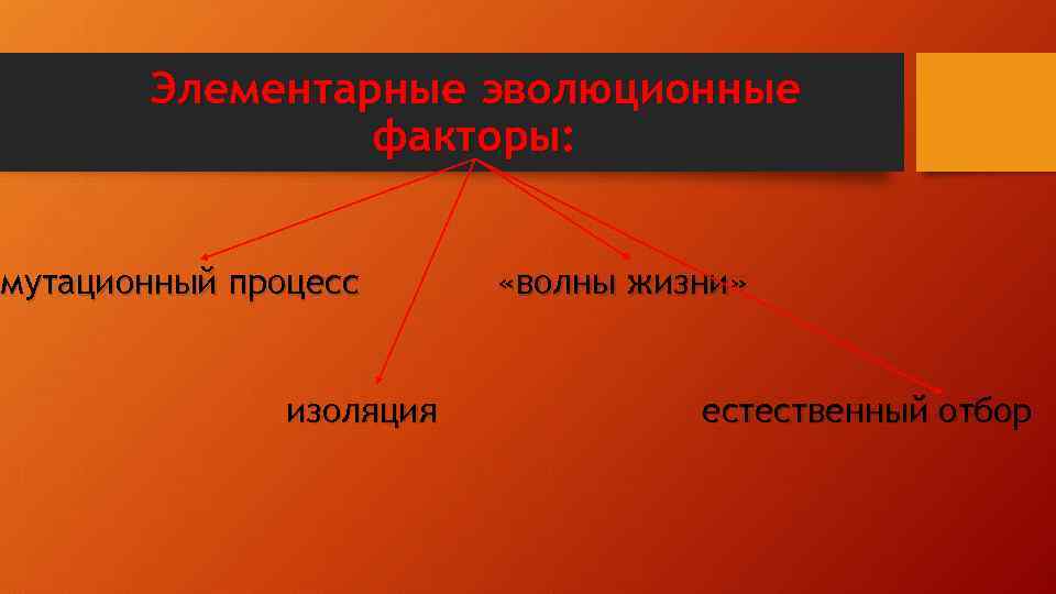 Элементарные эволюционные факторы: мутационный процесс изоляция «волны жизни» естественный отбор 