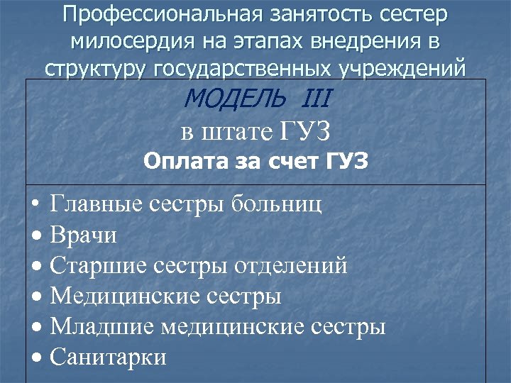 Профессиональная занятость сестер милосердия на этапах внедрения в структуру государственных учреждений МОДЕЛЬ III в