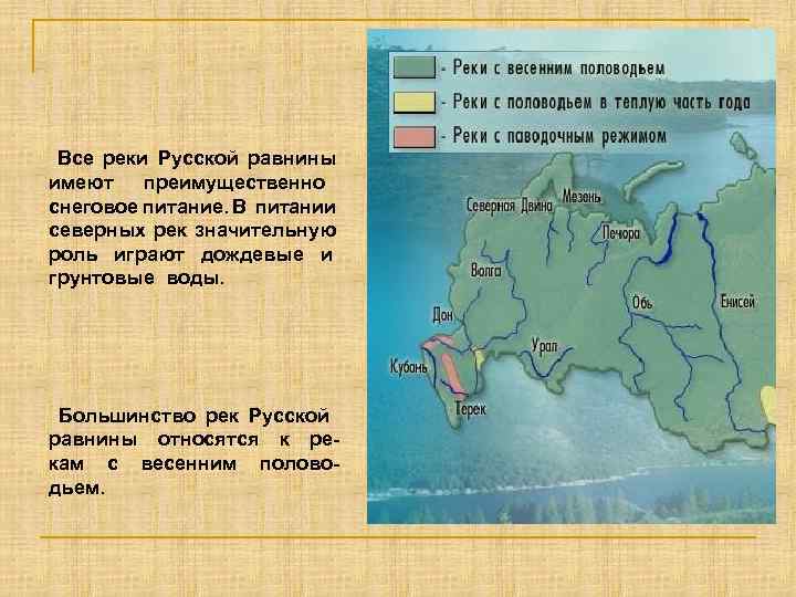  Все реки Русской равнины имеют преимущественно снеговое питание. В питании северных рек значительную