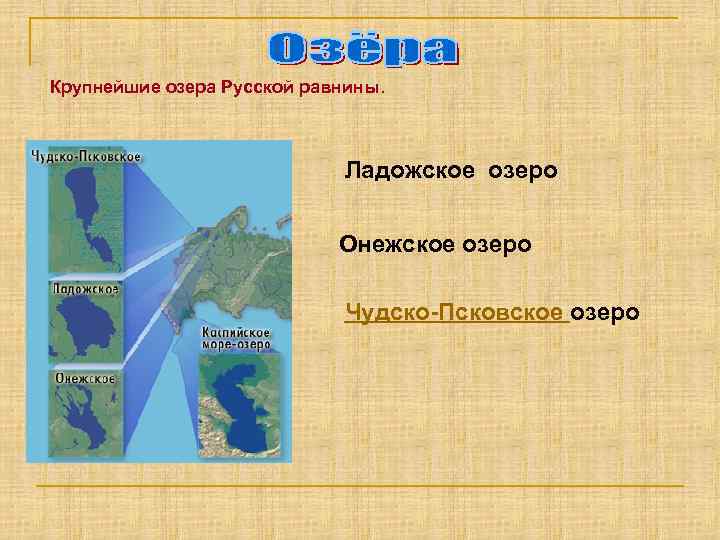 Крупнейшие озера Русской равнины. Ладожское озеро Онежское озеро Чудско-Псковское озеро 