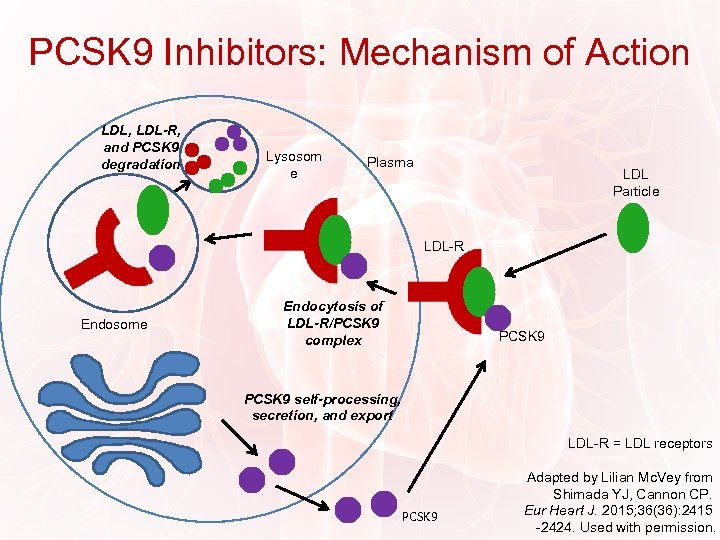 PCSK 9 Inhibitors: Mechanism of Action LDL, LDL-R, and PCSK 9 degradation Lysosom e