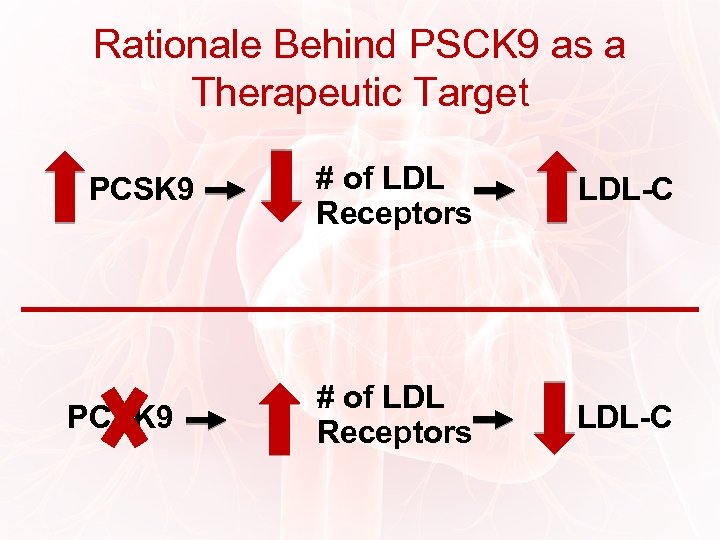 Rationale Behind PSCK 9 as a Therapeutic Target PCSK 9 # of LDL Receptors