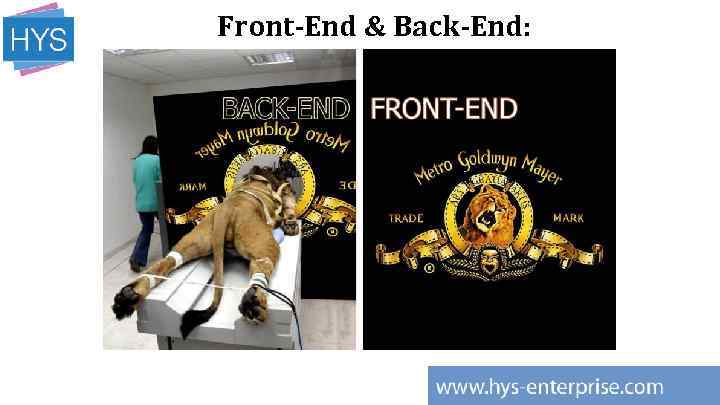 Front-End & Back-End: 