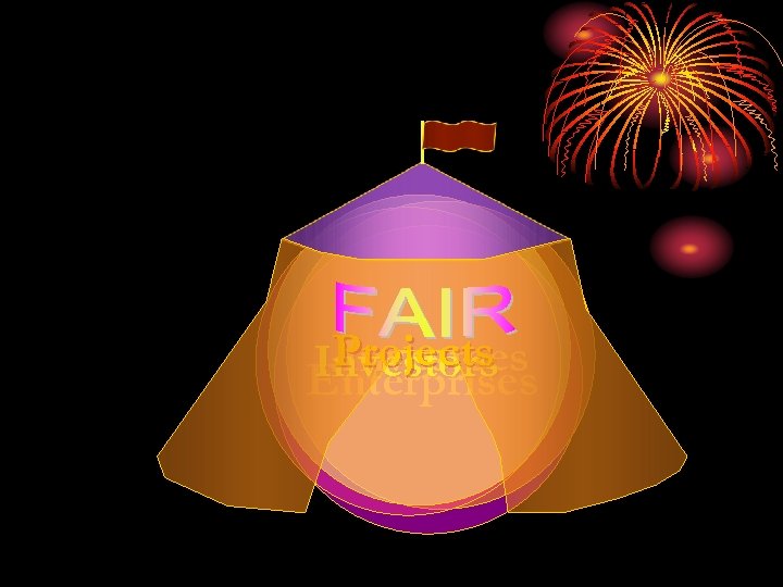 Projects Investees Investors Enterprises 