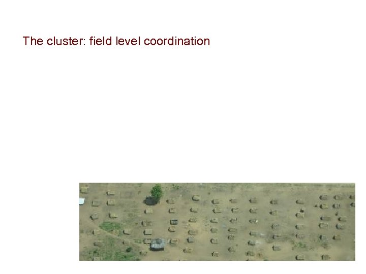 The cluster: field level coordination 