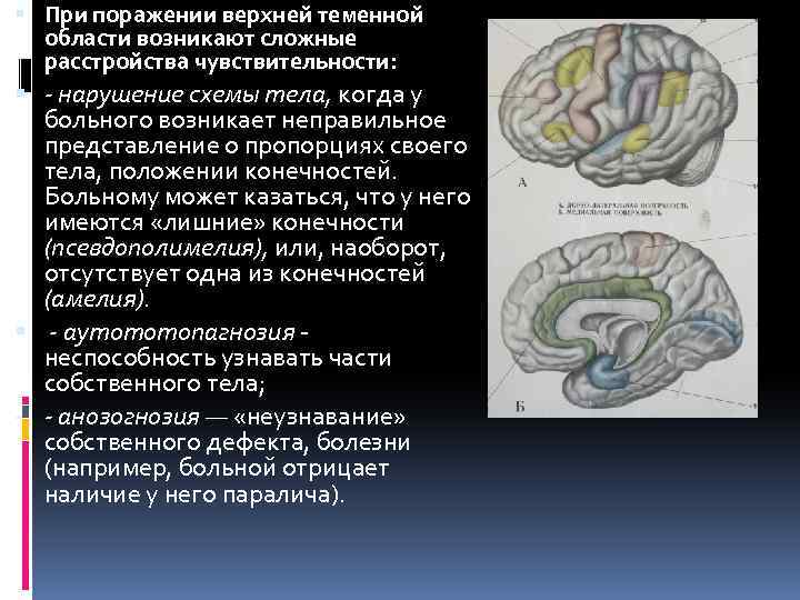  При поражении верхней теменной области возникают сложные расстройства чувствительности: - нарушение схемы тела,