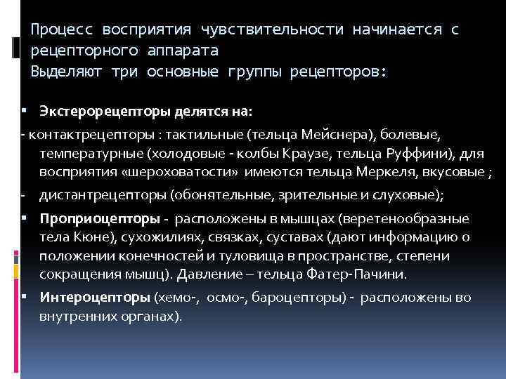 Процесс восприятия чувствительности начинается с рецепторного аппарата Выделяют три основные группы рецепторов: Экстерорецепторы делятся