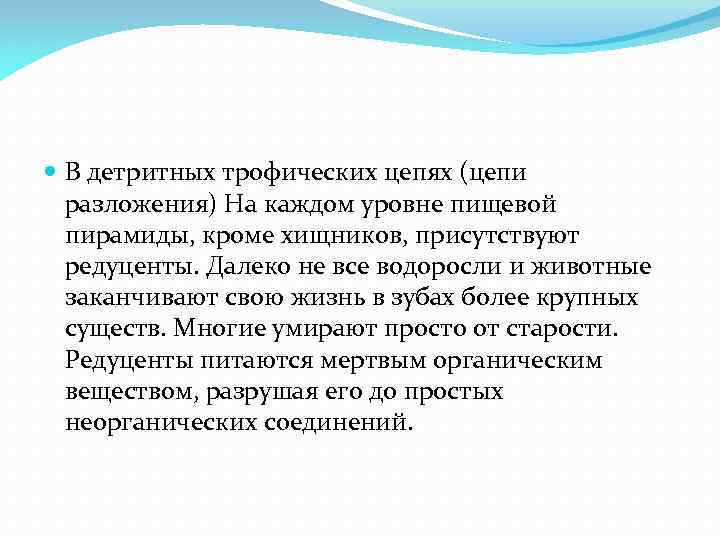  В детритных трофических цепях (цепи разложения) На каждом уровне пищевой пирамиды, кроме хищников,