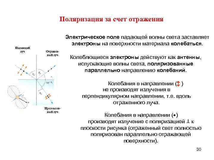 Поляризация за счет отражения Отраженный луч Колеблющиеся электроны действуют как антенны, испускающие волны света,