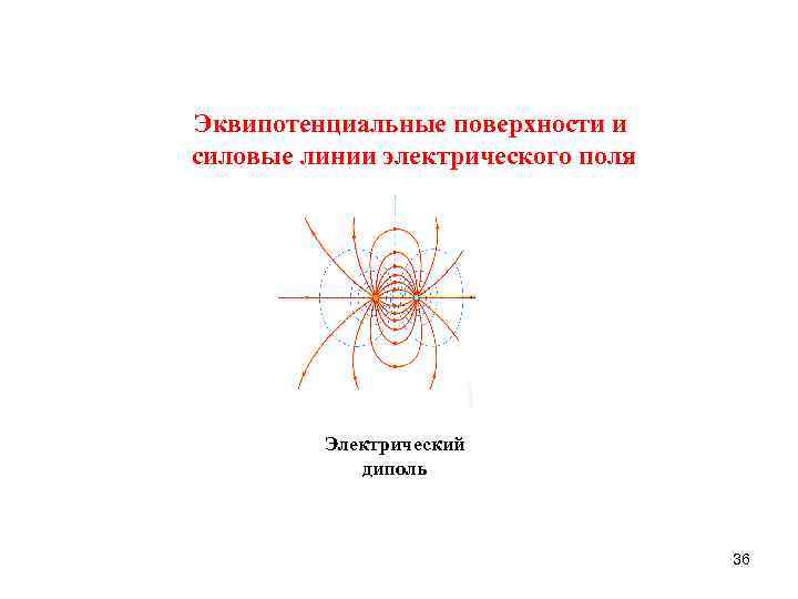 Эквипотенциальные поверхности электрического поля диполя представлены на рисунке