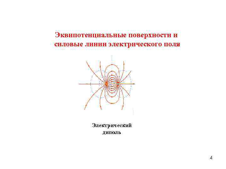 Электрическое поле на рисунке представляют. Силовые и эквипотенциальные линии электрического поля. Эквипотенциальные линии электрического поля. Картина эквипотенциальных и силовых линий. Эквипотенциальные линии диполя.