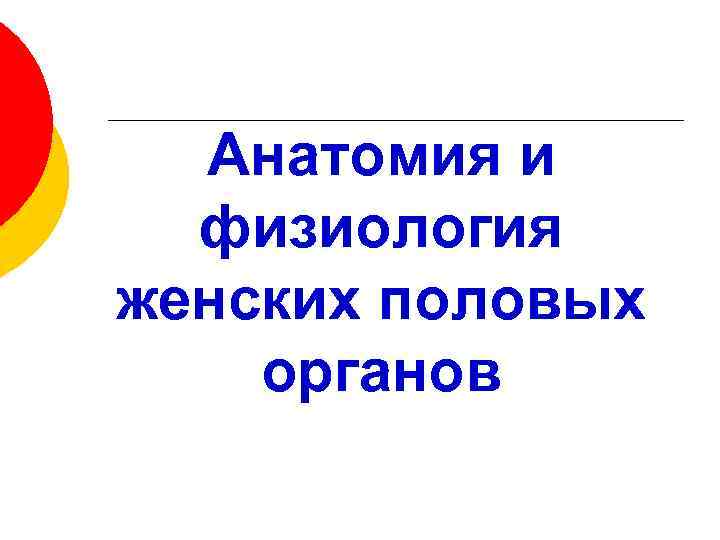 Анатомия и физиология женских половых органов 