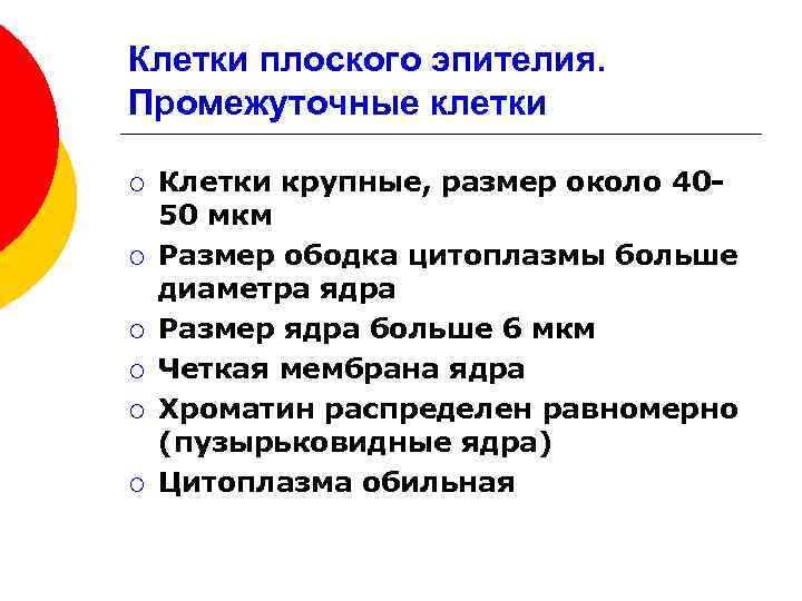 Клетки плоского эпителия. Промежуточные клетки ¡ ¡ ¡ Клетки крупные, размер около 4050 мкм