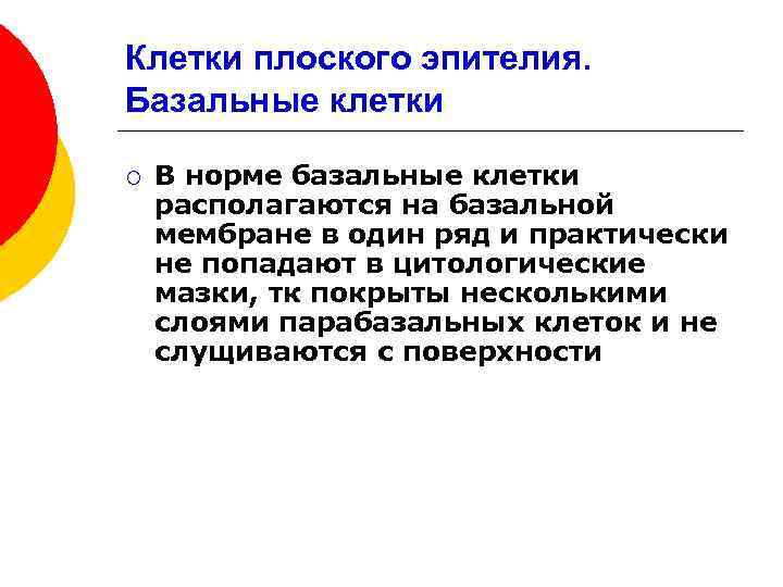 Клетки плоского эпителия. Базальные клетки ¡ В норме базальные клетки располагаются на базальной мембране
