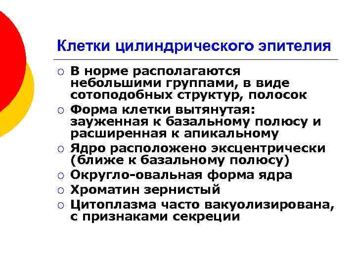 Клетки цилиндрического эпителия ¡ ¡ ¡ В норме располагаются небольшими группами, в виде сотоподобных