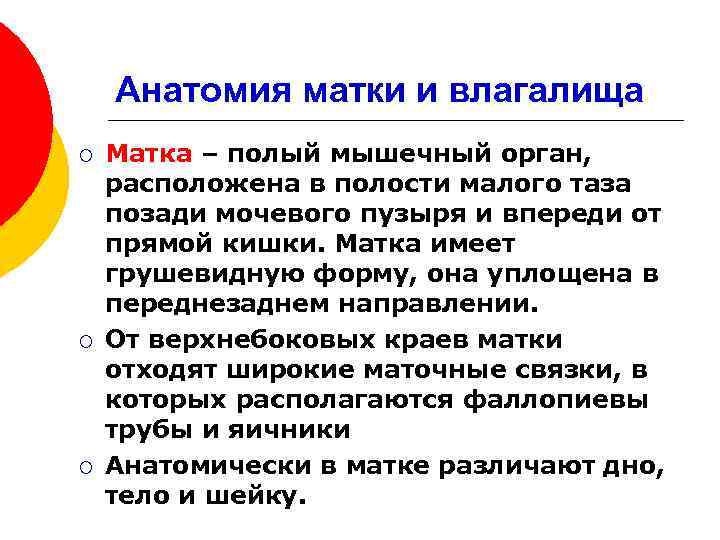Анатомия матки и влагалища ¡ ¡ ¡ Матка – полый мышечный орган, расположена в