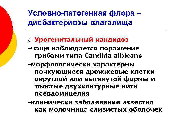 Условно-патогенная флора – дисбактериозы влагалища Урогенитальный кандидоз -чаще наблюдается поражение грибами типа Candida albicans