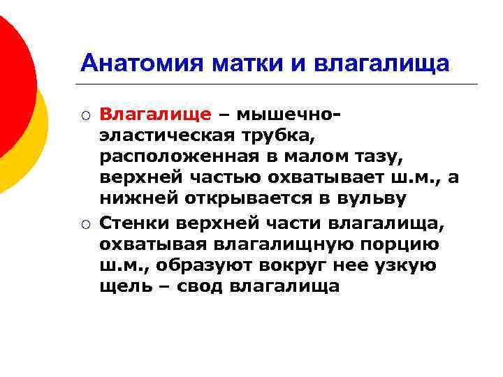 Анатомия матки и влагалища ¡ ¡ Влагалище – мышечноэластическая трубка, расположенная в малом тазу,
