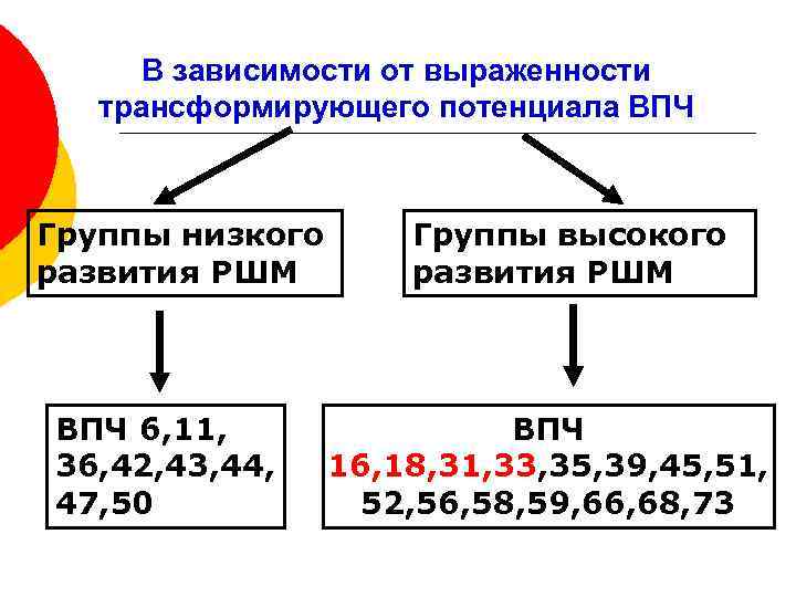 В зависимости от выраженности трансформирующего потенциала ВПЧ Группы низкого развития РШМ ВПЧ 6, 11,
