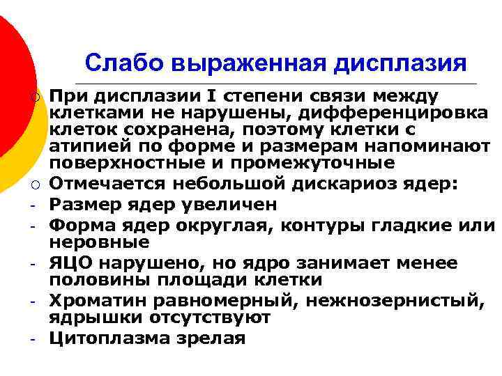 Слабо выраженная дисплазия ¡ ¡ - При дисплазии I степени связи между клетками не