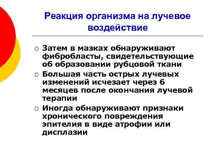 Реакция организма на лучевое воздействие ¡ ¡ ¡ Затем в мазках обнаруживают фибробласты, свидетельствующие