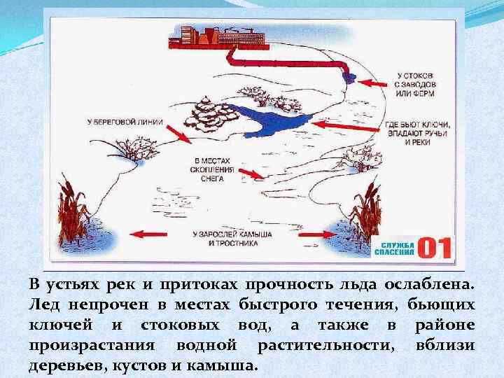 В устьях рек и притоках прочность льда ослаблена. Лед непрочен в местах быстрого течения,