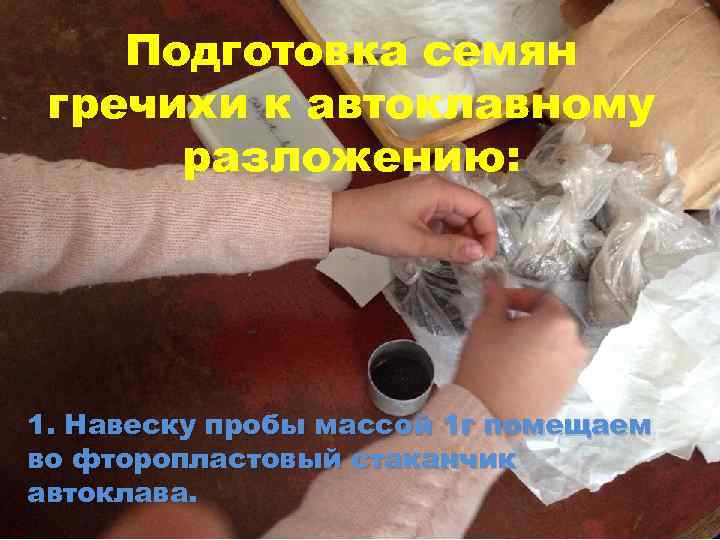 Подготовка семян гречихи к автоклавному разложению: 1. Навеску пробы массой 1 г помещаем во