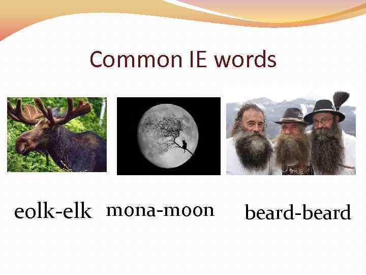 Common IE words eolk-elk mona-moon beard-beard 