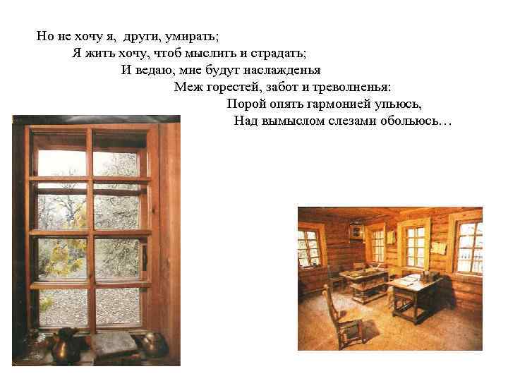 Но не хочу я, други, умирать; Я жить хочу, чтоб мыслить и страдать; И