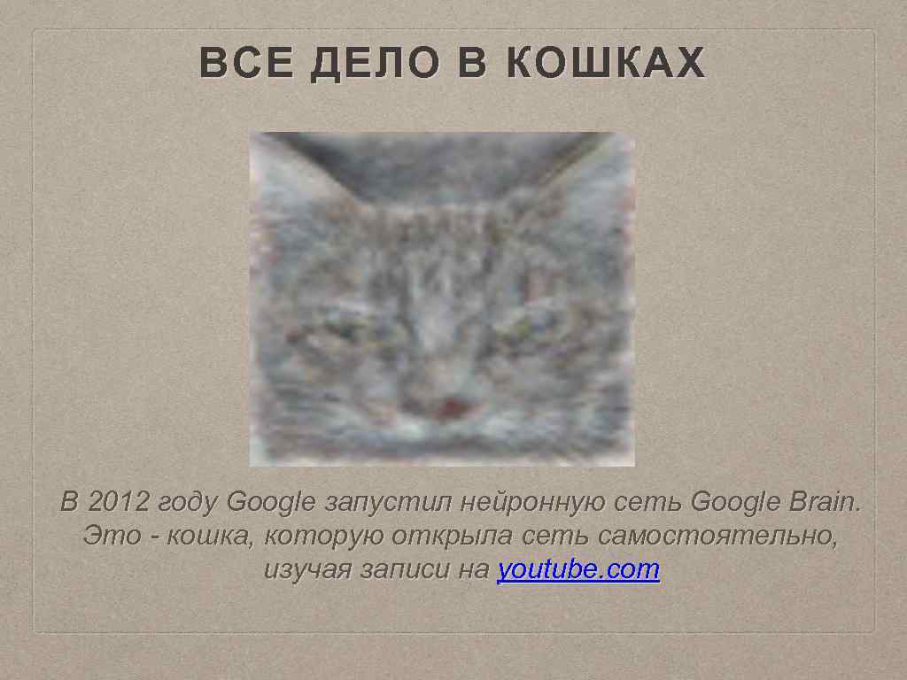 ВСЕ ДЕЛО В КОШКАХ В 2012 году Google запустил нейронную сеть Google Brain. Это