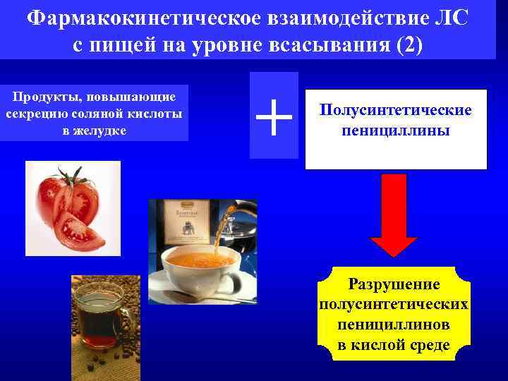 Фармакокинетическое взаимодействие ЛС с пищей на уровне всасывания (2) Продукты, повышающие секрецию соляной кислоты