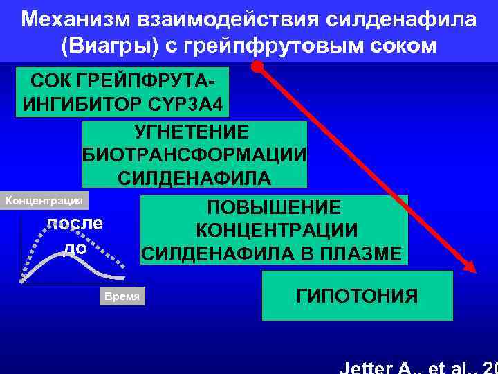Механизм взаимодействия силденафила (Виагры) с грейпфрутовым соком СОК ГРЕЙПФРУТАИНГИБИТОР CYP 3 A 4 УГНЕТЕНИЕ