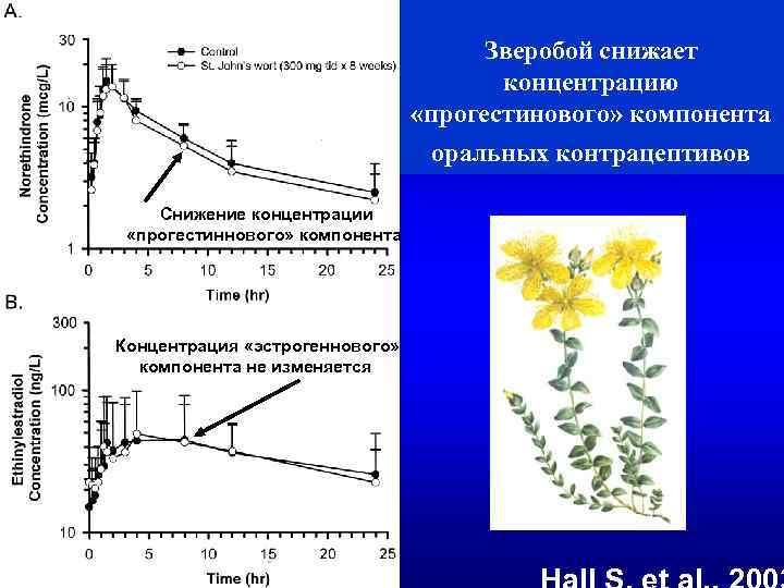 Зверобой снижает концентрацию «прогестинового» компонента оральных контрацептивов Снижение концентрации «прогестиннового» компонента Концентрация «эстрогеннового» компонента