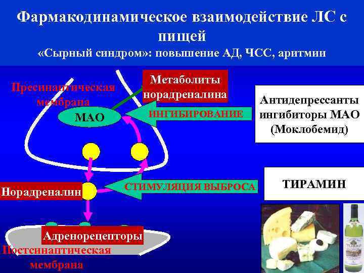 Фармакодинамическое взаимодействие ЛС с пищей «Сырный синдром» : повышение АД, ЧСС, аритмии Метаболиты норадреналина