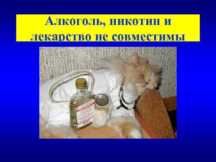 Алкоголь, никотин и лекарство не совместимы 