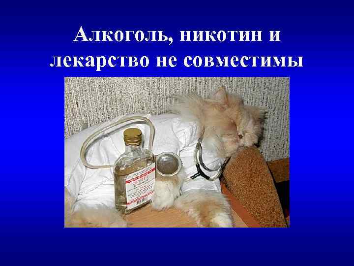 Алкоголь, никотин и лекарство не совместимы 