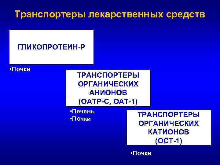 Транспортеры лекарственных средств ГЛИКОПРОТЕИН-Р • Почки ТРАНСПОРТЕРЫ ОРГАНИЧЕСКИХ АНИОНОВ (ОАТР-С, ОАТ-1) • Печень •
