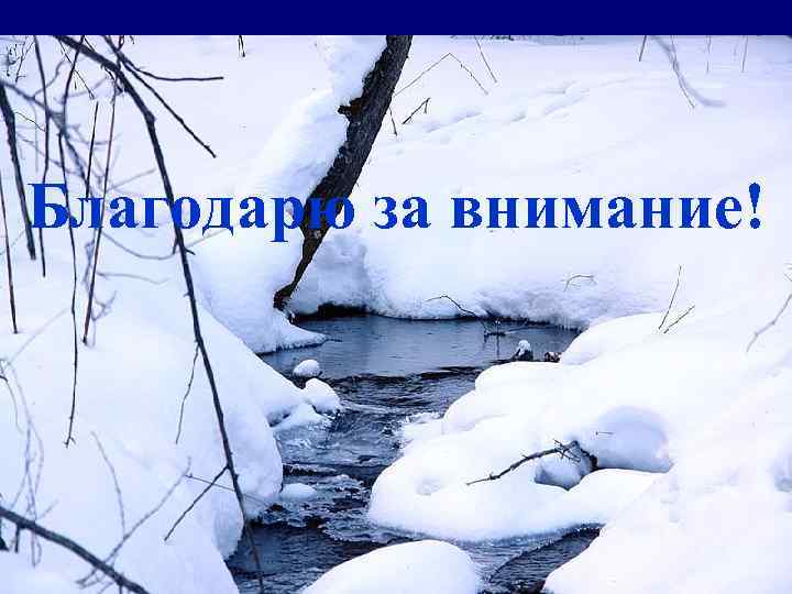 Благодарю за внимание! 