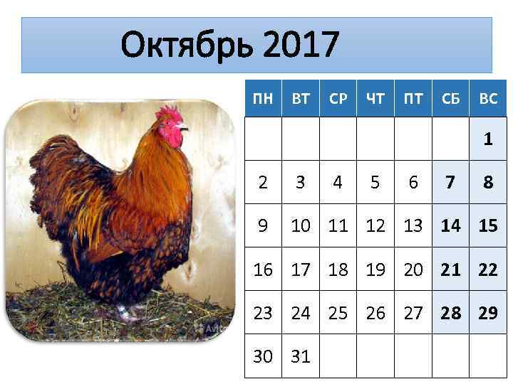Октябрь 2017 ПН ВТ СР ЧТ ПТ СБ ВС 1 2 3 4 5