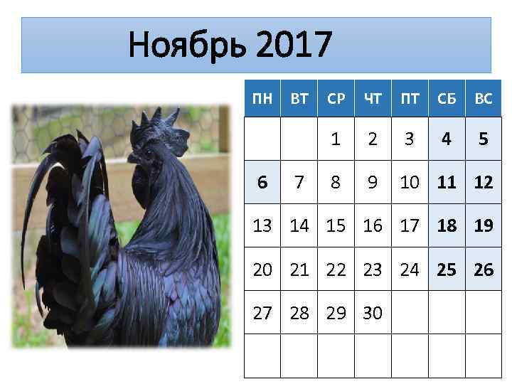 Ноябрь 2017 ПН 7 СР ЧТ ПТ СБ ВС 1 6 ВТ 2 3