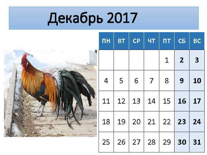 Декабрь 2017 ПН 5 СР 6 ЧТ 7 ПТ СБ ВС 1 4 ВТ