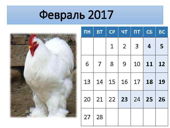 Февраль 2017 ПН 7 СР ЧТ ПТ СБ ВС 1 6 ВТ 2 3