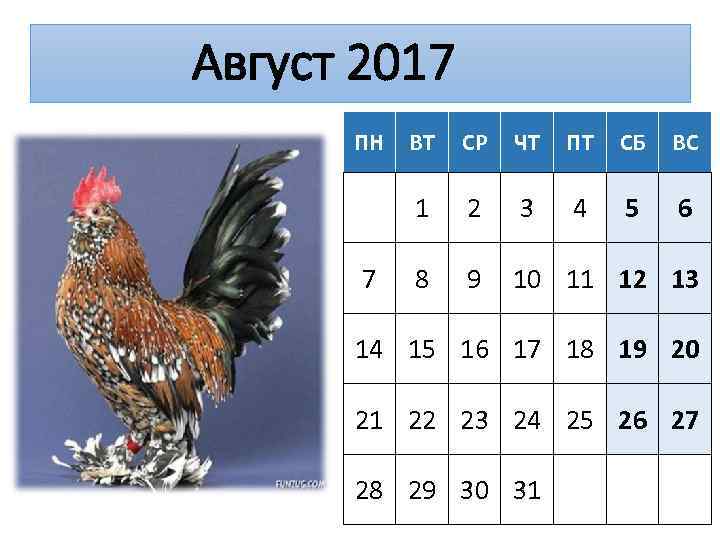 Август 2017 ПН СР ЧТ ПТ СБ ВС 1 7 ВТ 2 3 4
