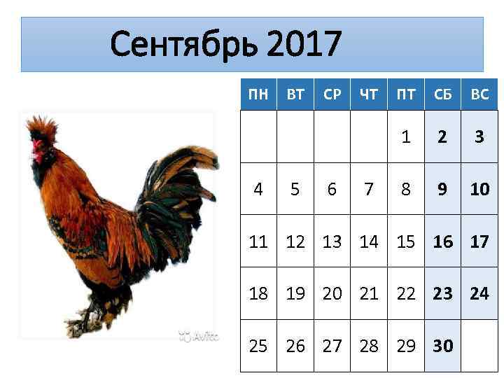Сентябрь 2017 ПН 5 СР 6 ЧТ 7 ПТ СБ ВС 1 4 ВТ