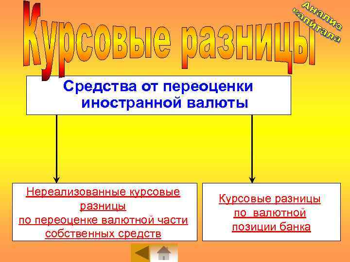 Средства от переоценки иностранной валюты Нереализованные курсовые разницы по переоценке валютной части собственных средств
