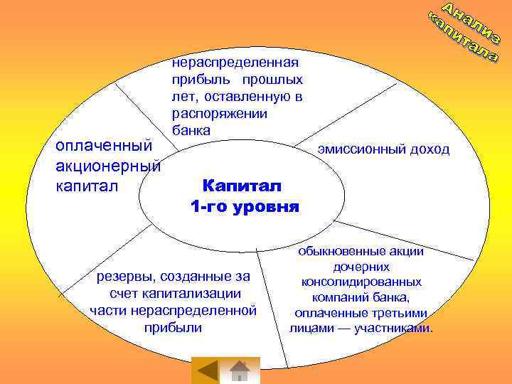 оплаченный акционерный капитал нераспределенная прибыль прошлых лет, оставленную в распоряжении банка эмиссионный доход Капитал