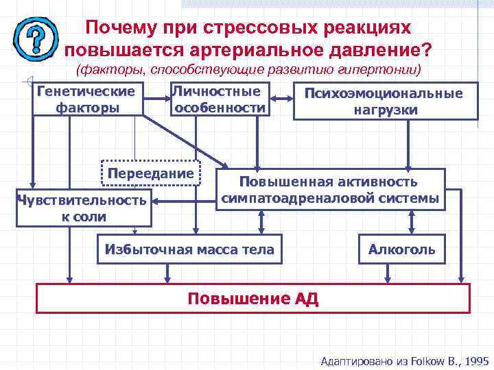 Почему при стрессовых реакциях повышается артериальное давление? (факторы, способствующие развитию гипертонии) Генетические факторы Личностные